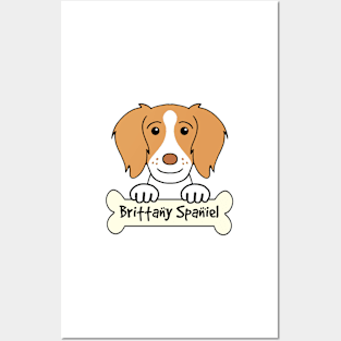 Brittany Spaniel Posters and Art